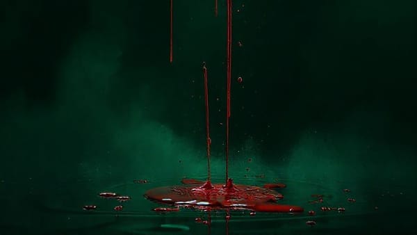 The Bottom’s Still Falling Out: Crypto’s Bloodbath