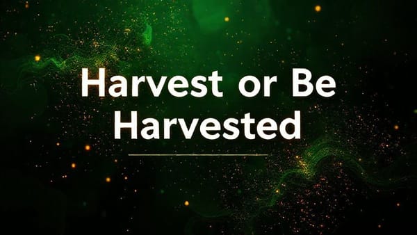 Harvest or Be Harvested: End-of-Year TLH Blitz