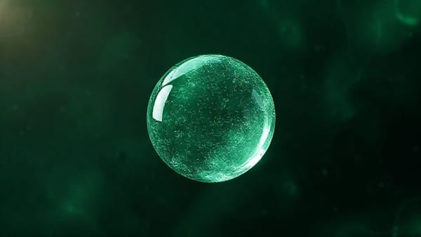 WhiteFiber: 127% Up or Total Zero? B. Riley’s Crystal Ball.