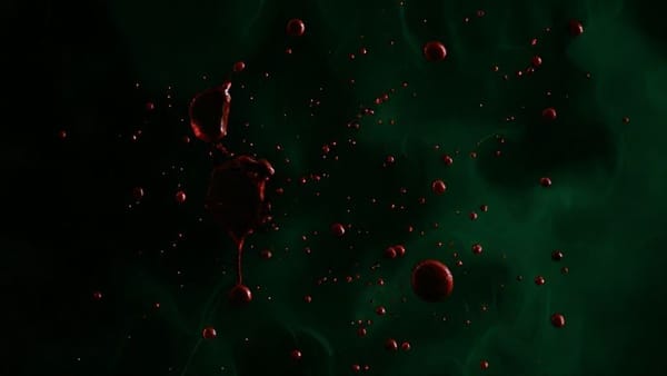 The Smell of Blood: Why B. Riley's 127% WhiteFiber Upside Isn't Insane